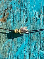 Kette Tülpchen Kette Tülpchen