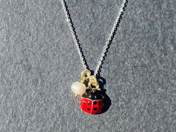 Kette Glückskäfer